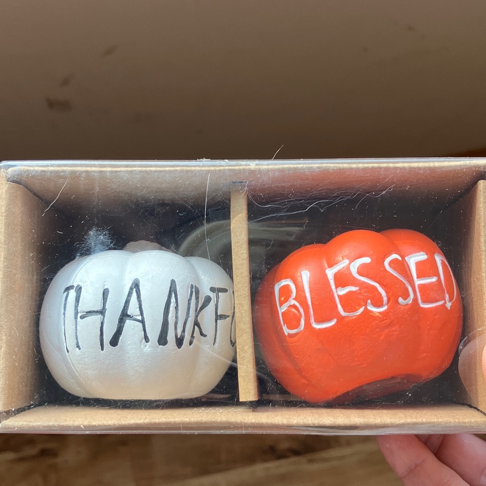 Thankful and Blessed Salt & Pepper Shaker Pumpkin Set